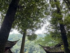 -青城山