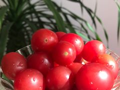 小番茄-叶氏兄弟(大连奥特莱斯店)