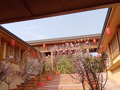 -观澜山水田园