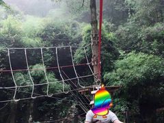 -梦幻奥陶纪景区