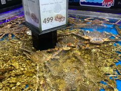 水产区-盒马鲜生(岭南新世界店)
