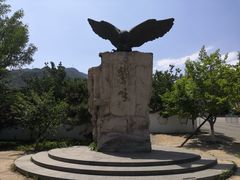 -北京鹫峰国家森林公园