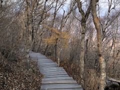 -白草畔自然风景区