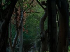 -重庆云阳龙缸景区