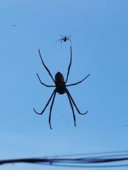 -酷嗒动物文化乐园(cutezoo西溪乐天城店)