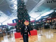 -中部国际机场