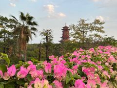 -厦门园林博览苑