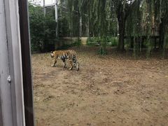 -临沂动植物园