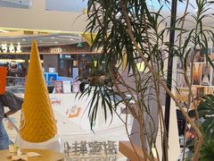 -野人先生Gelato(上海长宁龙之梦店)