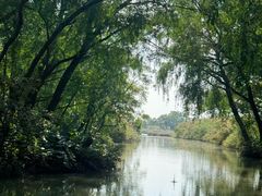 -大湾区中央湿地公园