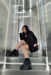 点击看大图 -金棕榈