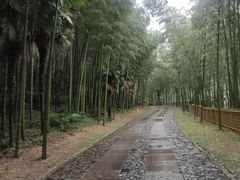 -黄公望隐居地