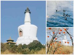 -北海公园