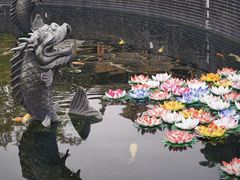 -上海东林寺(金山区)