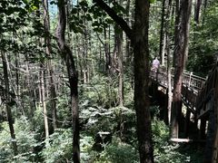 -龙峪湾国家森林公园