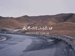 -大冬树山垭口