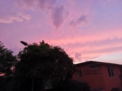 -金紫荆松骨休闲水会