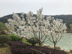 -龙寺生态园