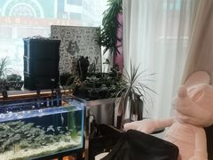 -MONANA蛋糕研究所