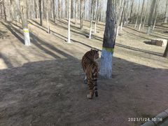 -北京野生动物园