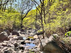 -云岫谷自然风景区