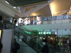 -厦门高崎国际机场-T3航站楼