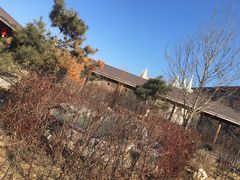 -大顶子山温泉旅游区