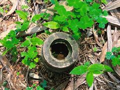 -杭州半山国家森林公园