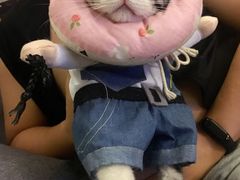 -伟伟宠物医院·CT影像中心·瑞派犬猫综合性门诊(汉口总院)