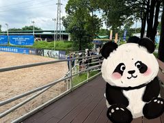 -光明农场大观园