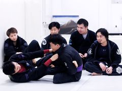 -菠萝格斗巴西柔术训练馆