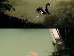 -东明山森林公园