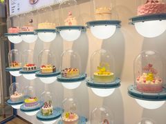 -卡吉诺动物奶油生日蛋糕(中原路店)