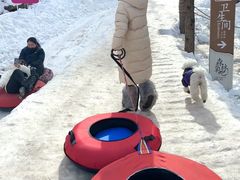 -洛阳白云山景区