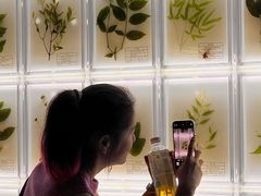 -广东中医药博物馆