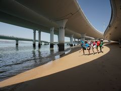 -演武大桥观景平台