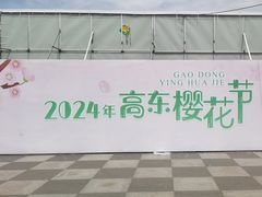 -高东镇樱花园