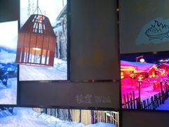 -挂雪铁锅炖大鹅