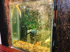 -浩运海鲜·16年专注青岛菜(石老人店)