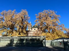 -北京石刻艺术博物馆(五塔寺)