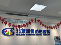 -北京观赏动物医院·24小时大型综合·猫专科·异宠专科