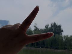 -团结湖公园