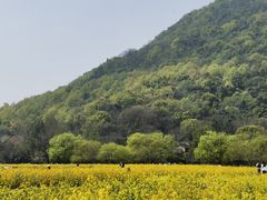 -八卦田遗址公园