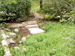 -重庆彩云湖湿地公园