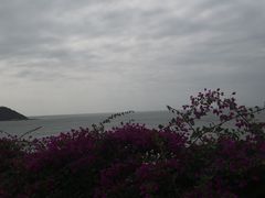 -漳州滨海火山岛自然生态风景区