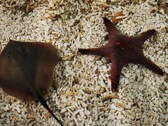 -珠海长隆海洋王国