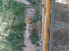 android_upload_pic-新疆天山野生动物园