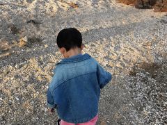 -日照海滨国家森林公园