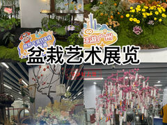 -芳村(地铁站)