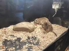 -太平洋海底世界